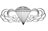 Airborne Symbol Metal Wall Art and Decor
